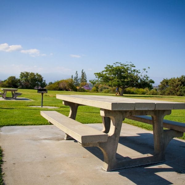 Picnic tables and a BBQ grill