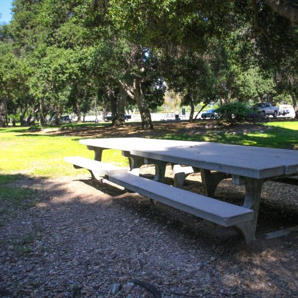 Picnic tables amongst a green lawn surrounded by trees