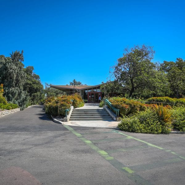 Stairs into a garden