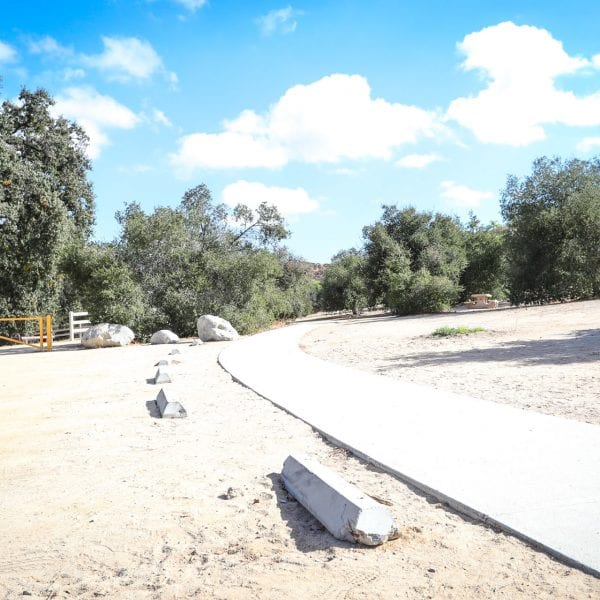Walkway through the park